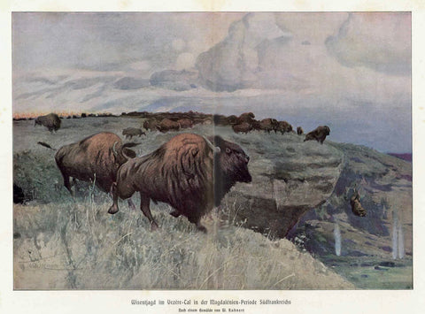 "Wisentjagd in Vezère Tal in der Magdalenien Peride Suedfrankreichs"  Hunting scene in ancient times after a painting by Wilhelm Kuhnert, Published ca 1905.