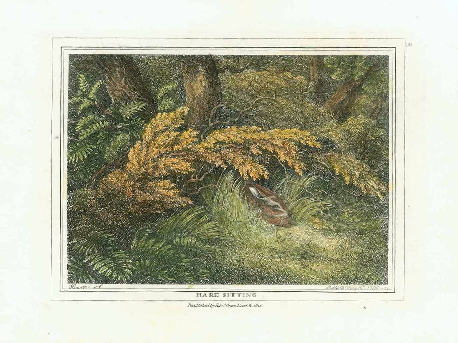 "Hare sitting"  Hand-colored stipple copper engraving by Samuel Howitt (1756-1822)  A cute hare hiding at the edge of forest  Published in London, dated 1799
