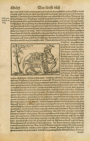 "New India mit seinen lendern..."  Woodcut of an early exploration ship and a woodcut of an elephant carrying soldiers/explorers on the reverse side. Interesting text about early discovery of India and decription of elephants.  Published in "Cosmographia"  By Sebastien Muenster (1488-1552)  Original antique print  