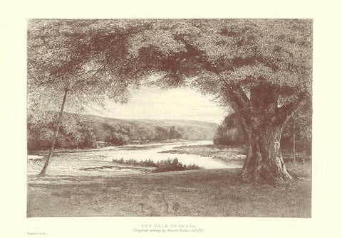 "The Vale of Avoca"  Wood engraving made after the etching by Francis Walker. Published 1895.