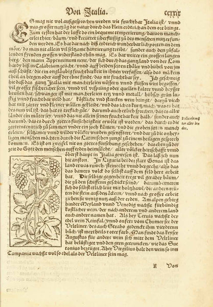 "Von dem Berg Vesuvio"  Vesuv, Vesuvius, Campagna, Vulkan, Volcano, Crater, Krater, Sebastian Muenster  Holzschnitt mit dazugehörigem Text  Aus: "Cosmographia" von Sebastian Münster (1488-1552)  Deutsche Ausgabe. Basel, 1553  Woodcut with text in the German language  Published in "Cosmographia" by Sebastian Muenster (1488-1552)  German language edition  Basel, 1553