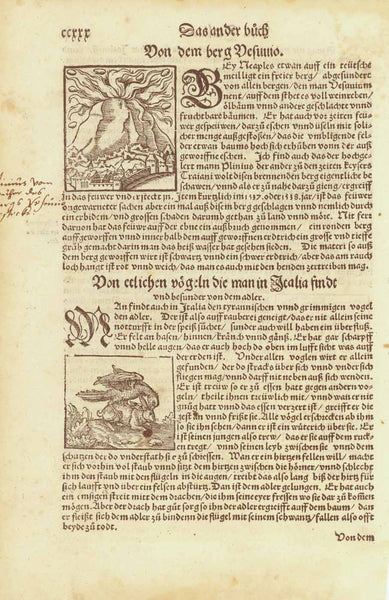 "Von dem Berg Vesuvio"  Vesuv, Vesuvius, Campagna, Vulkan, Volcano, Crater, Krater, Sebastian Muenster  Holzschnitt mit dazugehörigem Text  Aus: "Cosmographia" von Sebastian Münster (1488-1552)  Deutsche Ausgabe. Basel, 1553  Woodcut with text in the German language  Published in "Cosmographia" by Sebastian Muenster (1488-1552)  German language edition  Basel, 1553