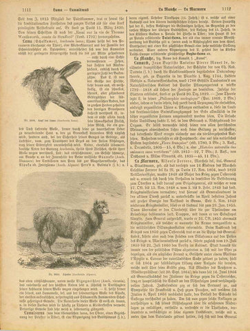 Upper image: "Kopf des Llama (Auchenia Lama)" Lower image: "Alpaca (Auchenia Alpaco)"  Wood engraving on a page of text partially about llamas and alpacas. On the reverse side is unrelated text. Published ca 1875.  Original antique print 