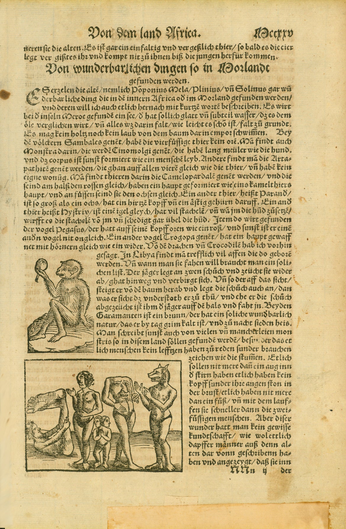 Legendary. Mixed creatures.  Monkey and Mixed creatures  Woodcut.  Text about monkeys found in Lybia and other parts of Africa. in German language Text on the reverse side about northern Africa, Canary Islands and Madeira.  Published in "Cosmographia"  By Sebastian Muenster (1488-1552)  Printed by Heinrich Petri. Basel, 1553  Original antique print , kkk