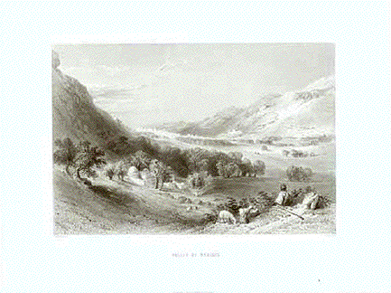"Valley of Nablous" (ancient Shechem)  Fine steel engraving by E. Brandard after W. H: Bartlett, published 1854.