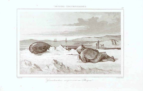 "Regiones Circumpolaires" "Groenlandais surprenant un Phoque" (Seal hunting)  Steel engraving published 1840.