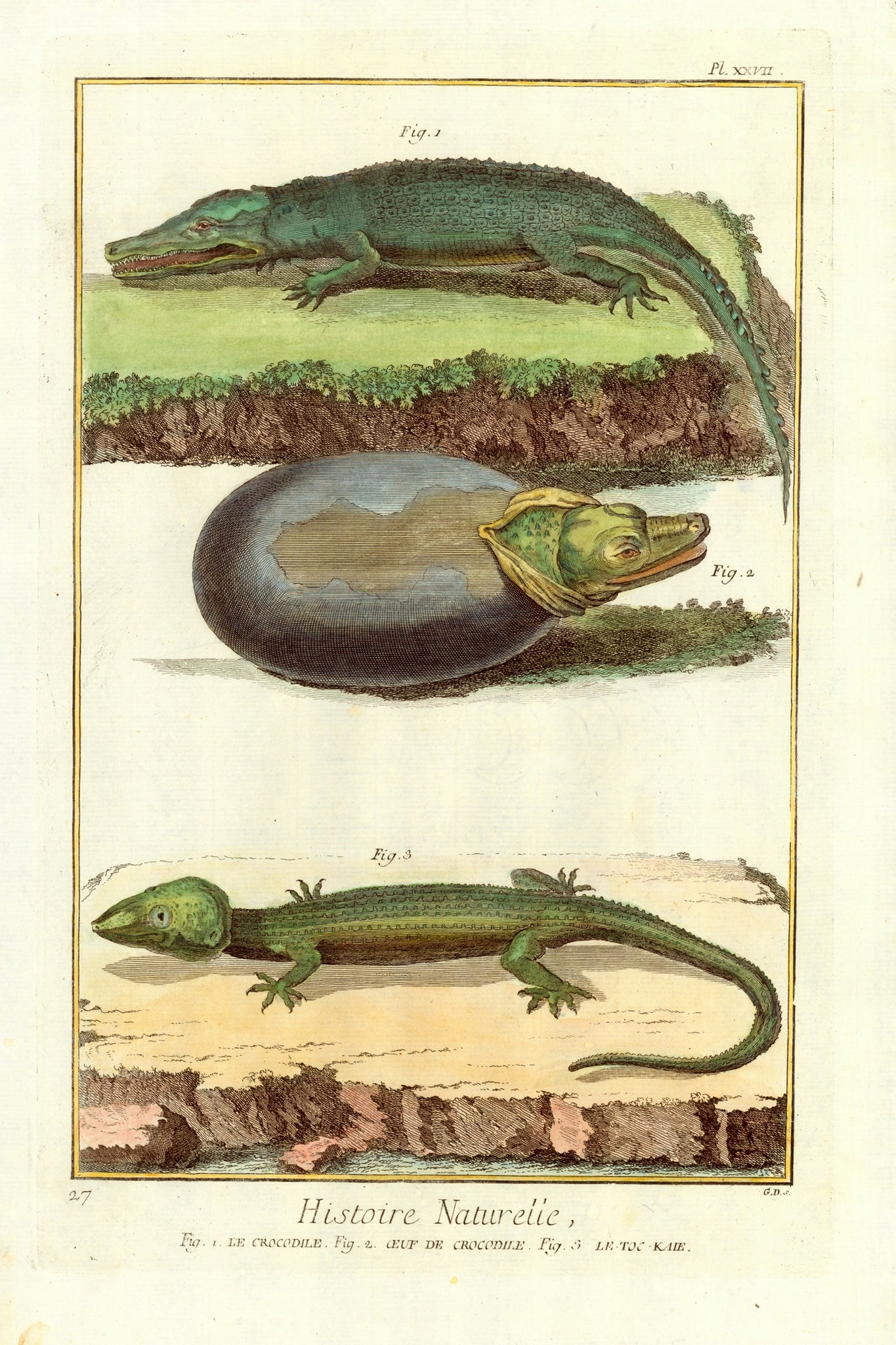 Reptiles, Crocodiles, Fig. 1 Le Crocodile. Fig. 2. Oeuf de Crocodile. Fig. 3. Le-Toc-Kaie  Copper etching from "Histoire Naturelle" published 1751 in Paris
