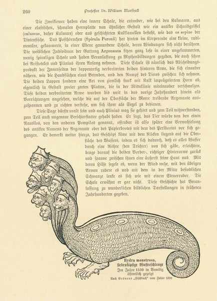 "Hydra Monstrosa siebenkoefige Wasserschlange" "Im Jahre 1530 in Venedig oeffenlich gezeigt"  Wood engravings of sea monsters on both sides of a page.  Published 1904.