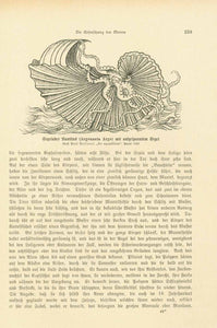 "Hydra Monstrosa siebenkoefige Wasserschlange" "Im Jahre 1530 in Venedig oeffenlich gezeigt"  Wood engravings of sea monsters on both sides of a page.  Published 1904.
