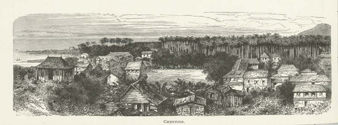 "Cayenne"  Cayenne, French Guiana, Franzoeisch Guayana, Ilets Dupont, Ronjon, Cabassou  Wood engraving ca 1875.  Original antique print  