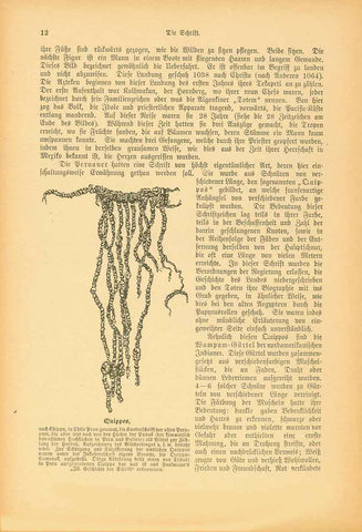 "Quippos" (Quipu, Khipu) (Quechua word for "knots")  Wood engraving on a page of text about the Use of quipus in Peru. The text continues on the reverse side with images of the Mexican pictograph language. On a second page is an image of a Wampum belt (shell belt) and text. On the reverse side of the second page is an image of part of the Darius hystaspes inscription.  Original antique print 