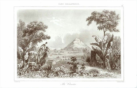 Landscapes, Darwin Island, Galapagos, "Iles Galapagos" "Ile Charles" (possibly Darwin Island)  Steel engraving by Lemaitre after Gaucher, 1840.