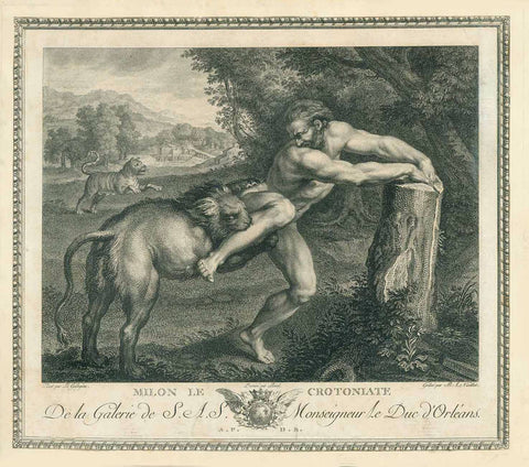Milo was a six-time Olympic victor. He won the boys' wrestling (probably in 540 BC), and thereafter five men's wrestling titles between 536 and 520 BCE. ... To intimidate his opponents, Milo of Croton would consume raw bull's meat in front of his adversary and would drink raw bull's blood for energy and vitality. According to legend he was attempting to tear a tree apart when his hands became trapped in a crevice in its trunk, and a lion surprised and devoured him.