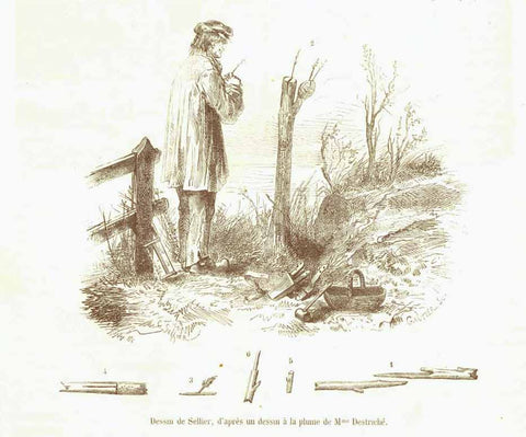 "Le Vieux Greffeur" (the old grafter)  Wood engraving 1872. Above and below the image is an article  about different types of grafting On the reverse side is unrelated text.