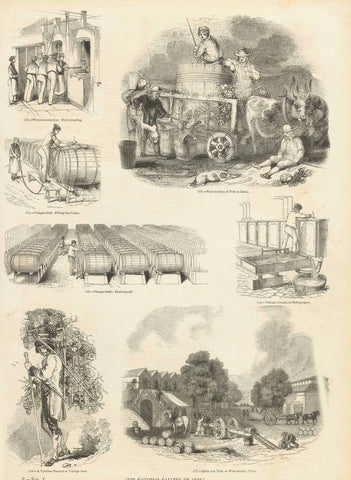 "Wine-manufacre-fruit pressing, Wine-making in Pola in Istria, Vinegarfield, filling the casks, Vinegar field, drawing off, Vinegar cooler or refigerator, A Tyrolese peasant at Vintage time,  Hall aux Vins, or Wine market, Paris"  Wood engravings printed ca 1880.  Original antique print  