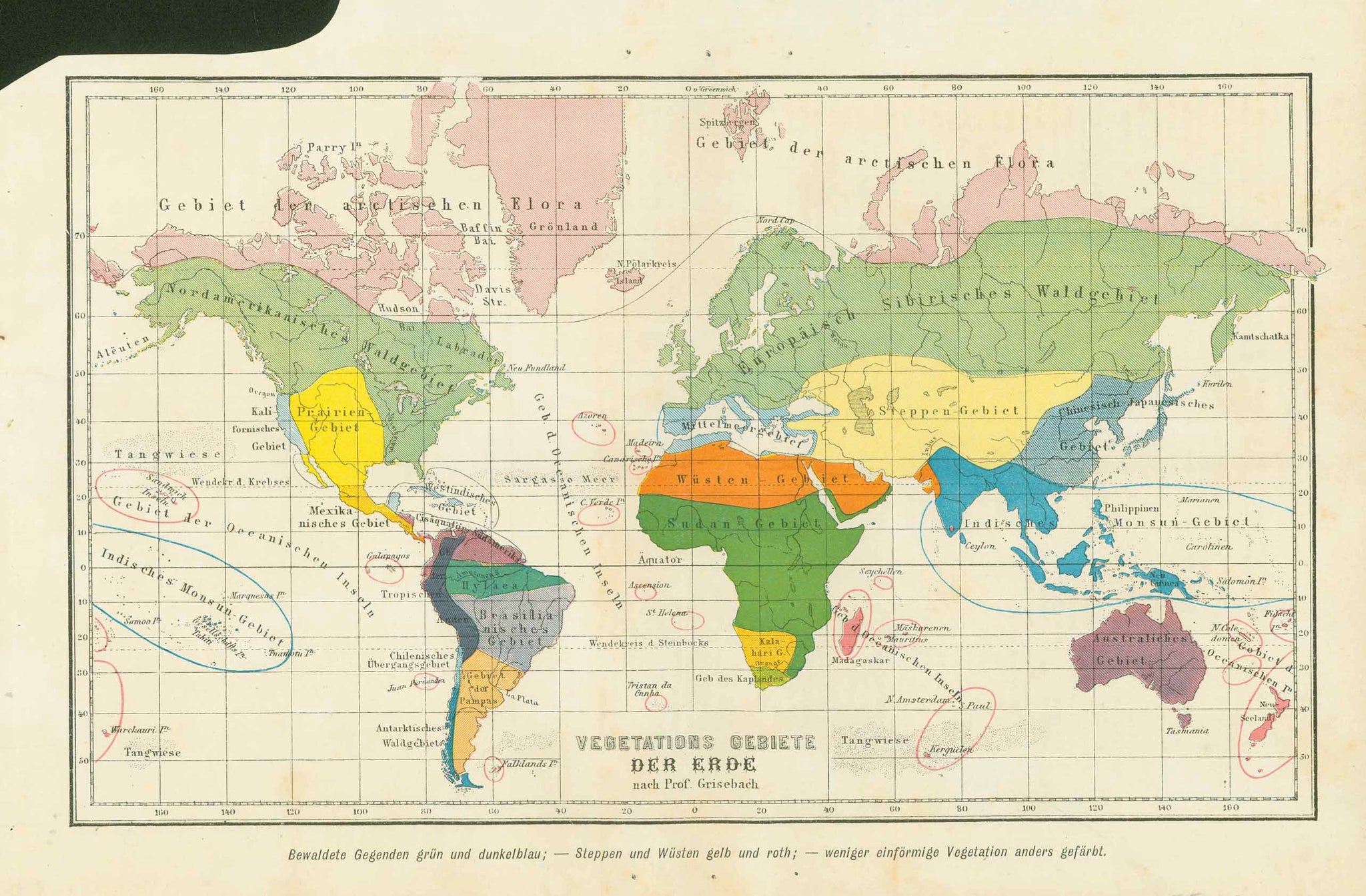 "Vegetatsions Gebiete cer Erde nach Prof. Grisebach"  Map shows the world distribution of various forms of vegetation by color.  One vertical fold to fit original book size and a margin cutout in upper left for binding space.  Original antique print    For a 30% discount enter MAPS30 at chekout 